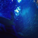 霊的な体質の種類