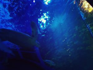 霊的な体質の種類