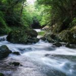 霊って見えるもんなの？