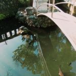 霊媒体質の定義。確かめ方