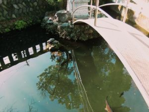 霊媒体質の定義。確かめ方