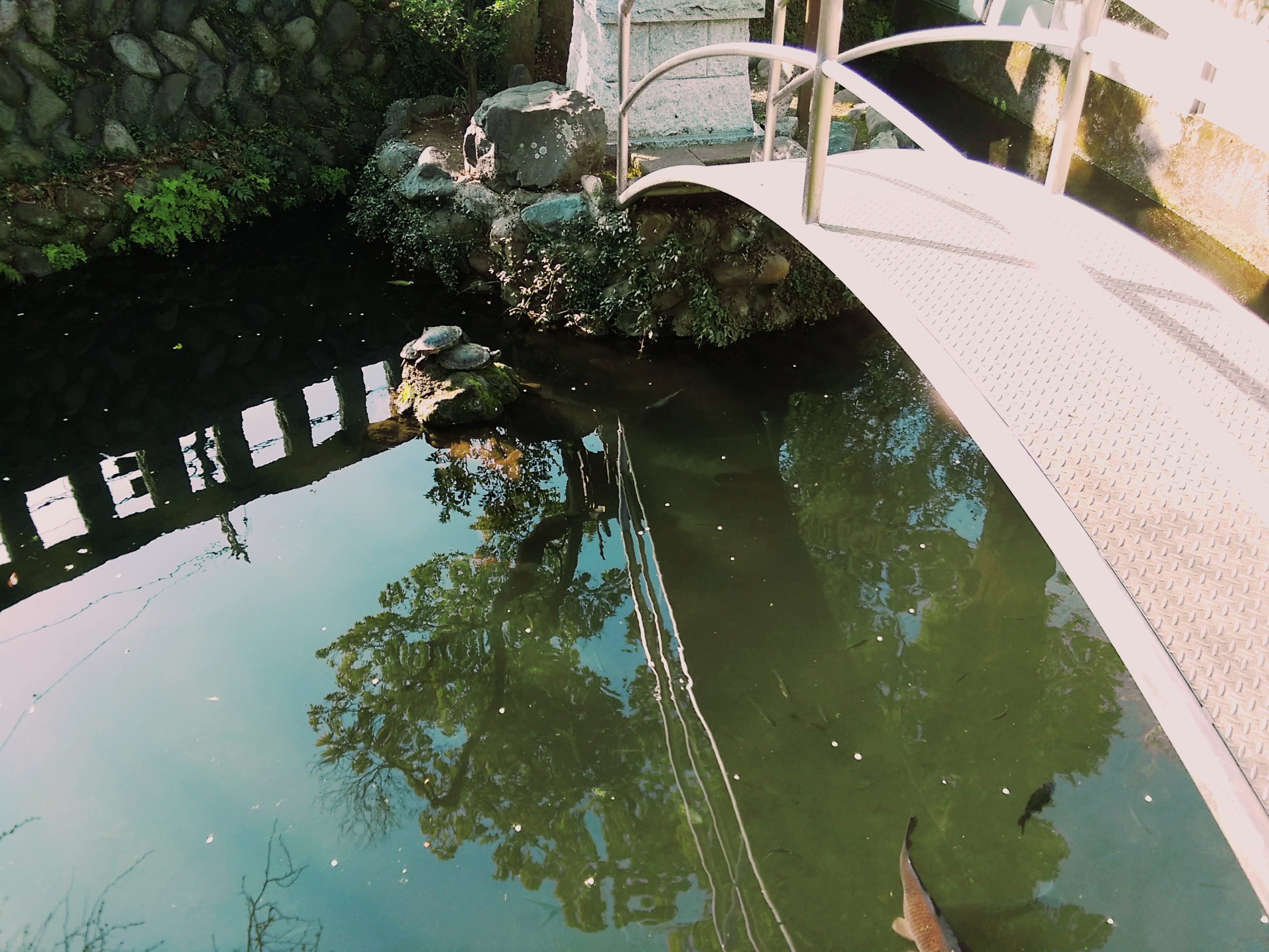 霊媒体質の定義。確かめ方