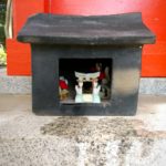 5か月ぶりの投稿。そして魔と戦った・・・。