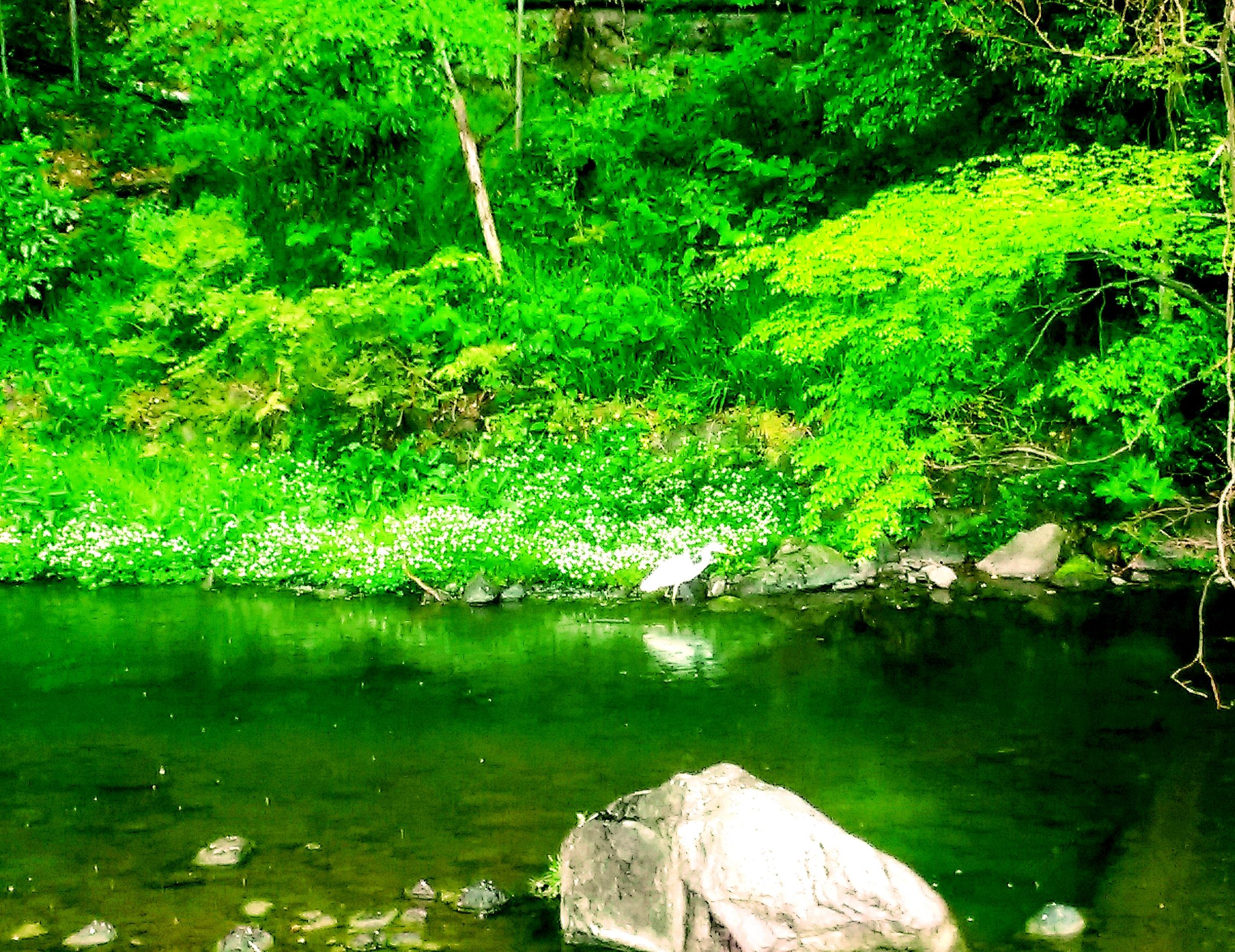 霊媒体質は大きく分けて二つの種類がある