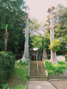 運が下がる原因について管理人の見解。一番は生霊です